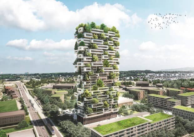 zelená architektúra